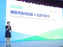 2017新增電化學儲能裝機量企業排名發布 南都電源榮登榜首