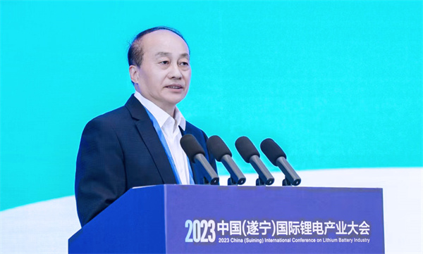 福州大學材料科學與工程學院院長張久?。耗茉创鎯娃D換中鈉離子電池的研發進展