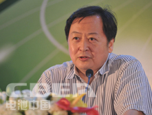 王仲穎：中國可再生能源發展展望與儲能機遇